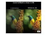 Sony K-55B20 TV LED 55" Smart TV Google TV 4K UHD Processore 4K X1 COD BRAVIA 2 II - immagine 2